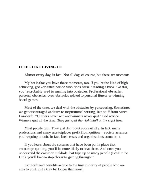 The Dip by Seth Godin - Image 3